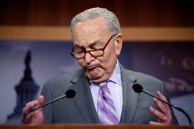 Senate Minority Leader Chuck Schumer (D-NY) gestures while speaking at a  news conference