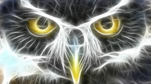 Neon animal wallpaper is a free personalization app, and has been developed by targettech. 60 Neon Animals Desktop Wallpaper 13533 Download Free