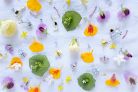 As a usda certified organic farm, we take great pride in growing our edible flowers without the use of synthetic chemical pesticides, herbicides, or fungicides. The Kosmic Kitchen