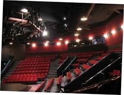 Berkeley Repertory Theatre Peetstheatre Bay Area