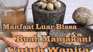Dan khasiat lain yang didambakan para wanita adalah untuk menambah kerapatan dan menjadikan miss v lebih keset. 19 Khasiat Dan Kehebatan Buah Manjakani Kepada Wanita My Info Maya