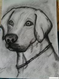Hai sa vedem ce putem studia, rasfoind lista. Crani Desene In Creion Simple