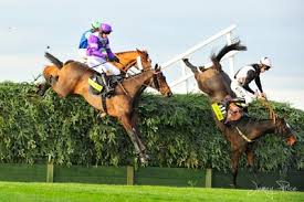On any given weekend, visitors will find some of the most fun things to do in lexington, including horse shows, rodeos, festivals, museum exhibits, shopping and more. Steeplechasing Color Speed Danger Detail Newschoolers Com
