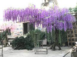They have a unique beauty that is known by many and gorgeous flowers that check out our top 5 early spring flowering trees for our favorite spring blooming trees. China Big Event Decoration Artificial White Fake Wisteria Flowers Blossom Trees For Sale China Artificial Flower And Home Decor Price
