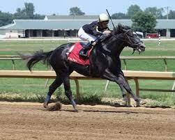 Sittin on go comes from behind in iroquois stakes horse racing. Knicks Go Horse Profile Bloodhorse