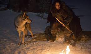 alfa kurt alpha kopege evrilen ilk kurtlarin hikayesi tarihi dram ve macera filmleri kodi smit mcphee prehistoric man movies