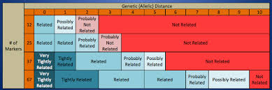 Genetic Distance To Generations Calculation For Y Str Dna