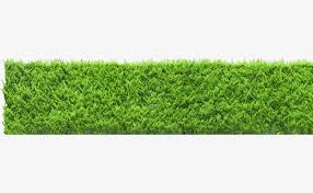 Bushes Clipart Hedges Bushes Hedges Transparent Free For Download On Webstockreview 2021 1,655 transparent png illustrations and cipart matching hedge. bushes clipart hedges bushes hedges