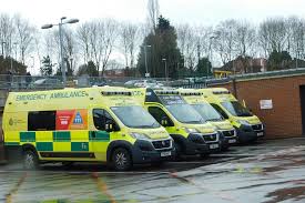 Trendy teen fashions Wwe divas alexa bliss and eva marie cum tribute.