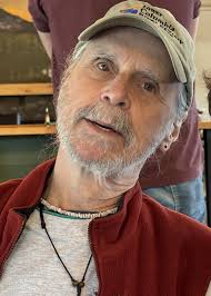 What is this vehicle services notice about?