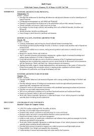 systems architecture resume samples