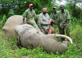 We did not find results for: 8 Fakta Trophy Hunting Memburu Hewan Demi Ego Manusia