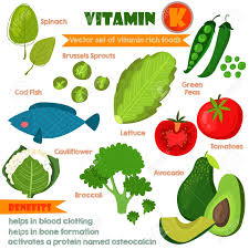 Vitamins And Minerals Foods Illustrator Set 12 Vector Set Of
