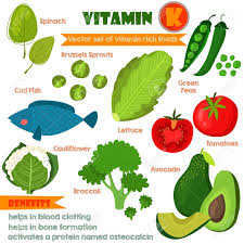 vitamins and minerals foods illustrator set 12 vector set of