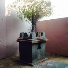 Tulasi Maharani In A Traditional Village Home Tulasi Maharani Ki Jai Kerala House Design Tulasi Plant Tulsi