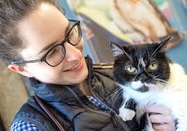 Small Animal Surgery