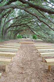 Pin On Photo Graph Y