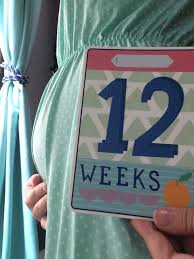Perut kadang seperti kedutan teratur; Pregnancy Journey Happydoofyhousewife