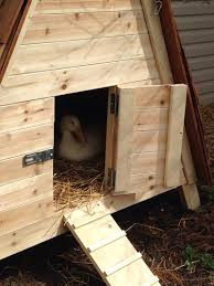 This little house seems rather simple. How To Build An A Frame Coop Or Duck House Kick Ass Or Die