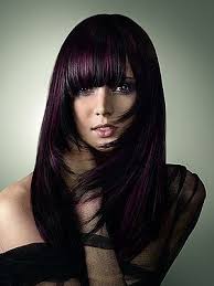 Dark Chocolate Brown Hair Mixed With Violet Hair Color For Black Hair Dark Purple Hair Hair Color Pictures