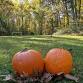 Fall Festival — Camp Swatara