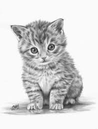 Maybe you would like to learn more about one of these? Cute Illustration Animal Kittens Candy Ensaioinfantil Mundorosa Kitten Drawing Animal Drawings Drawings