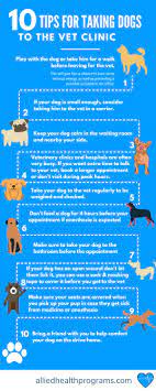 Contact us schedule an appointment. 10 Tips For Taking Your Dog To The Vet Clinic By Alliedhealthprograms Issuu