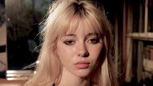 Lilly Street's Instagram, Twitter & Facebook