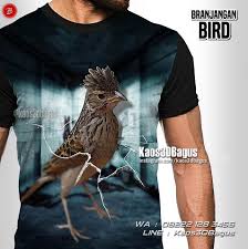 Suara burung kicau memang merupakan suara yang sangat mendekatkan kita dengan alam. Kaos Burung Branjangan Kaos3d Kicau Mania Kaos3dbagus