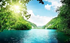 An opinion or judgment colored by the feeling or bias of its holder in my view the plan will fail. Natural Views Posts Facebook