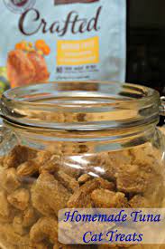 Homemade Tuna Cat Treats Inspiredbycrafted Homemade Cat Food Tuna Cat Treats Cat Treats Homemade