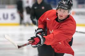 Dylan larkin is poised to be named team captain before the 2021 season. Niyo If Nhl Drafts Nfl S Plan It Could Give Detroit Red Wings Fans A Lift