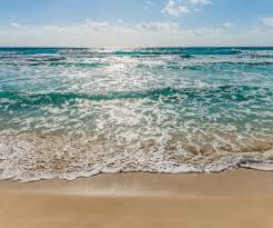 What to see and do in carolina beach, n.c. Vliestapete Seaside Von Komar Fototapete De