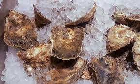 1 years, 10 months, 2 days ago. Tag Der Auster National Oyster Day In Den Usa 5 August 2021