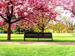 Maybe you would like to learn more about one of these? Flower Garden Photosfine