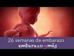 26 Semanas De Embarazo Sexto Mes Embarazoymas Youtube