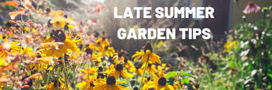 They may need to be started inside first so they can harden up and be less susceptible to burning up in the hot sun. Late Summer Gardening Tips Resource Central