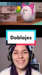 Gato Arcada Paquete De Alfajor