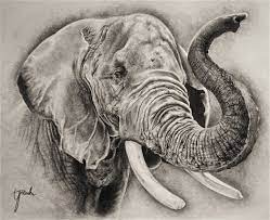 Pin On Elephants