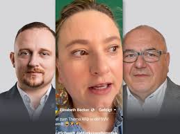 Grüne: Menschen ohne Kompetenzen gewählt, weil sie vielleicht gut aussehen  ...