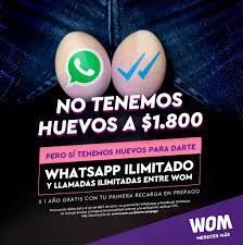 Wom price is up 1.0% in the last 24 hours. Wom Colombia On Twitter Una Docena De Huevos Por 1 800 Activa Tu Prepago Wom Y Disfruta De Sorpresas Que No Duelen
