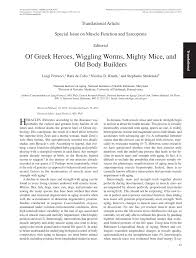 PDF) Of Greek Heroes, Wiggling Worms, Mighty Mice, and Old Body Builders