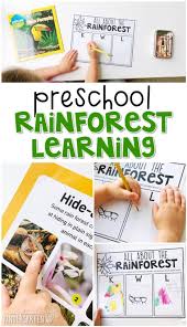 I spy jungle animals grade/level: Preschool Rainforest Mrs Plemons Kindergarten