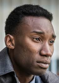 The Wife Before Fan Casting