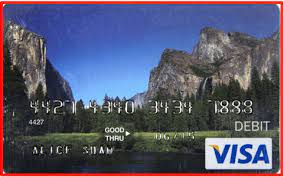 There aren't a lot of virtual card services out there. Www Bankofamerica Com Eddcard Bank Of America Edd Card Activation