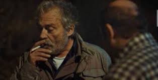 Harun Erdoğan (@harunerdogantr)