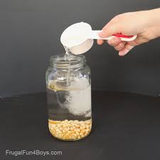 Dancing Corn Science Experiment - Frugal Fun For Boys and Girls