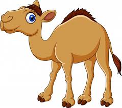 (1a) no screenshots or pics where the only focus is a screen. Premium Vector Cute Camel Cartoon