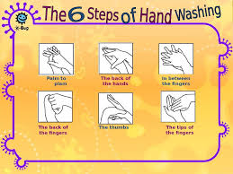Primary Hand Hygiene Stem
