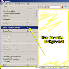 World's simplest online portable network graphics transparency maker. How To Use Irfanview To Convert Transparent Png To White Background Jpg Lin Wanfei